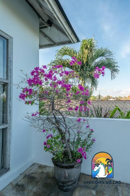 Villa Eva - By Unicorn Villas Bali Uluwatu Exteriör bild